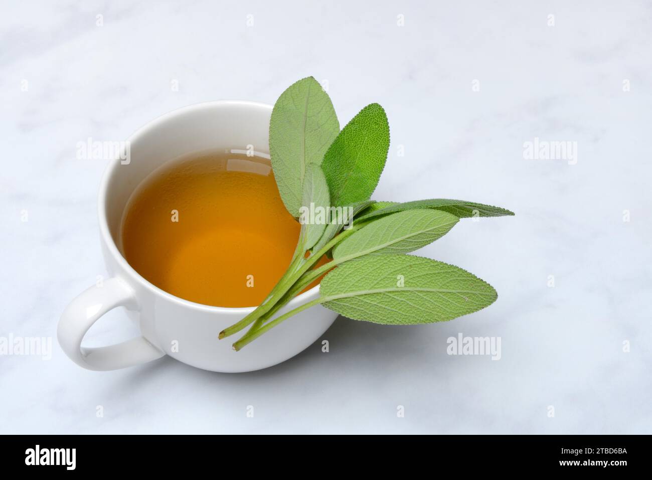 Thé à la sauge dans une tasse et feuilles de sauge (Salvia officinalis) Banque D'Images