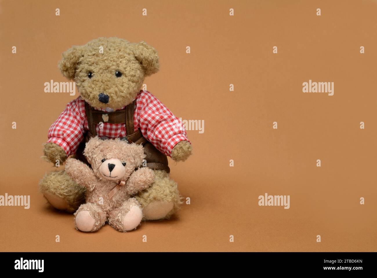 Deux ours en peluche, assis, devant un fond brun, nounours Banque D'Images