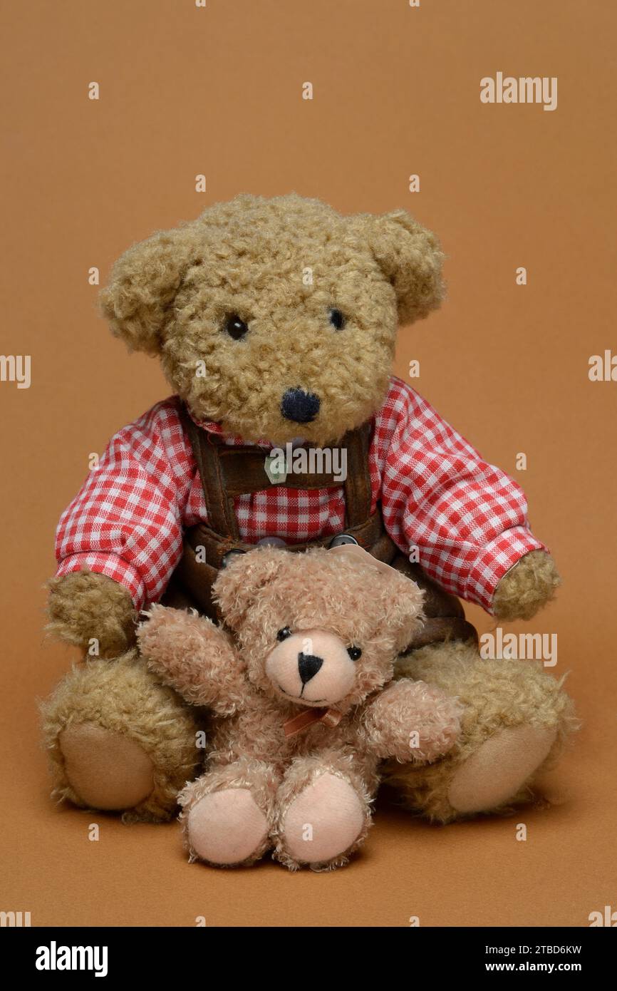 Deux ours en peluche, assis, devant un fond brun, nounours Banque D'Images