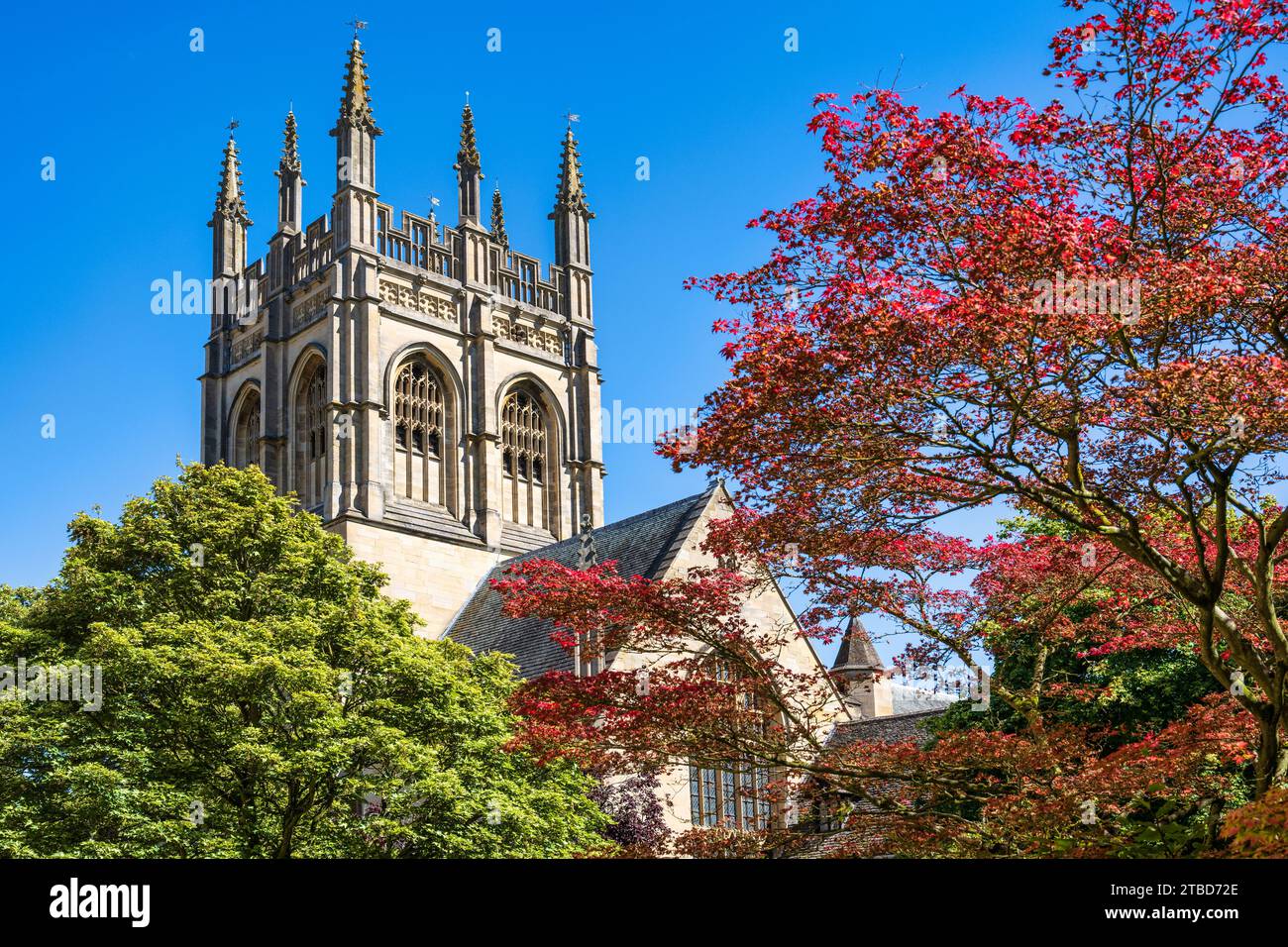 Clocher de Merton College Chapel, Université d'Oxford, de Grove Walk dans le centre-ville d'Oxford, Oxfordshire, Angleterre, Royaume-Uni Banque D'Images