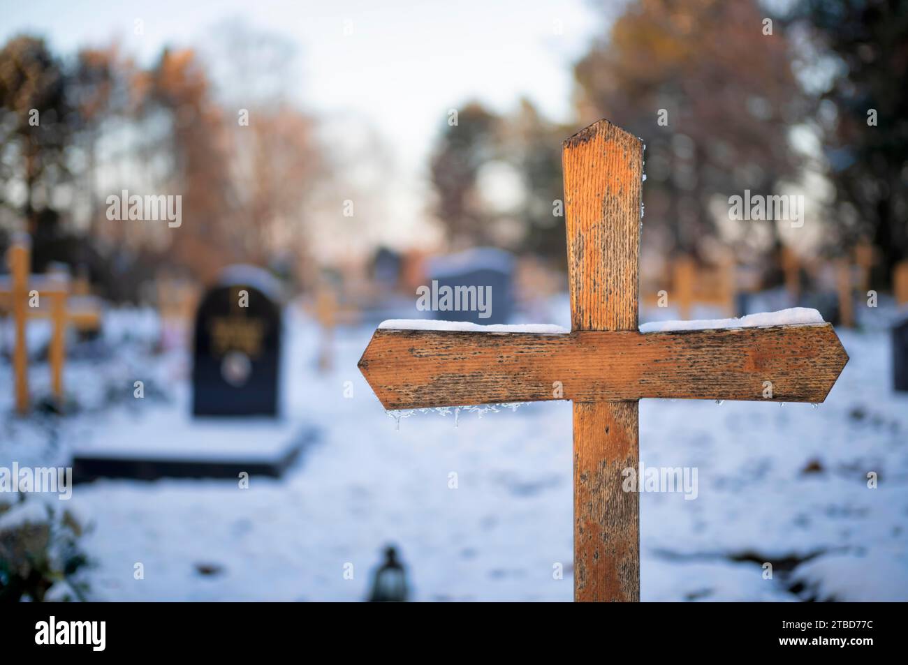 Croix en bois, croix tombale, cimetière principal, neige, hiver, Stuttgart, Baden-Wuerttemberg, Allemagne Banque D'Images