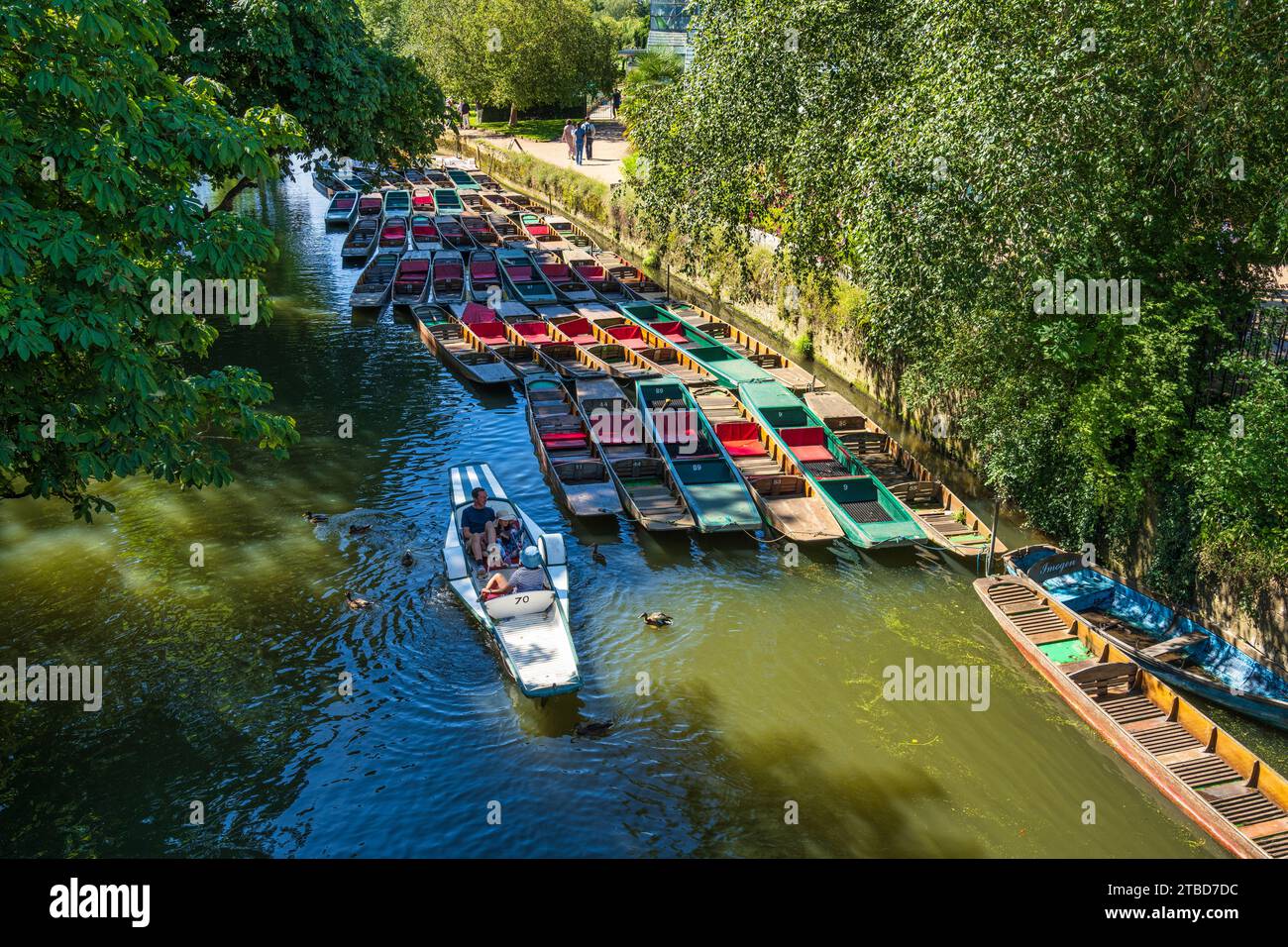 Punts sur la rivière Cherwell, regardant vers le sud depuis Magdalen Bridge dans le centre-ville d'Oxford, Oxfordshire, Angleterre, Royaume-Uni Banque D'Images