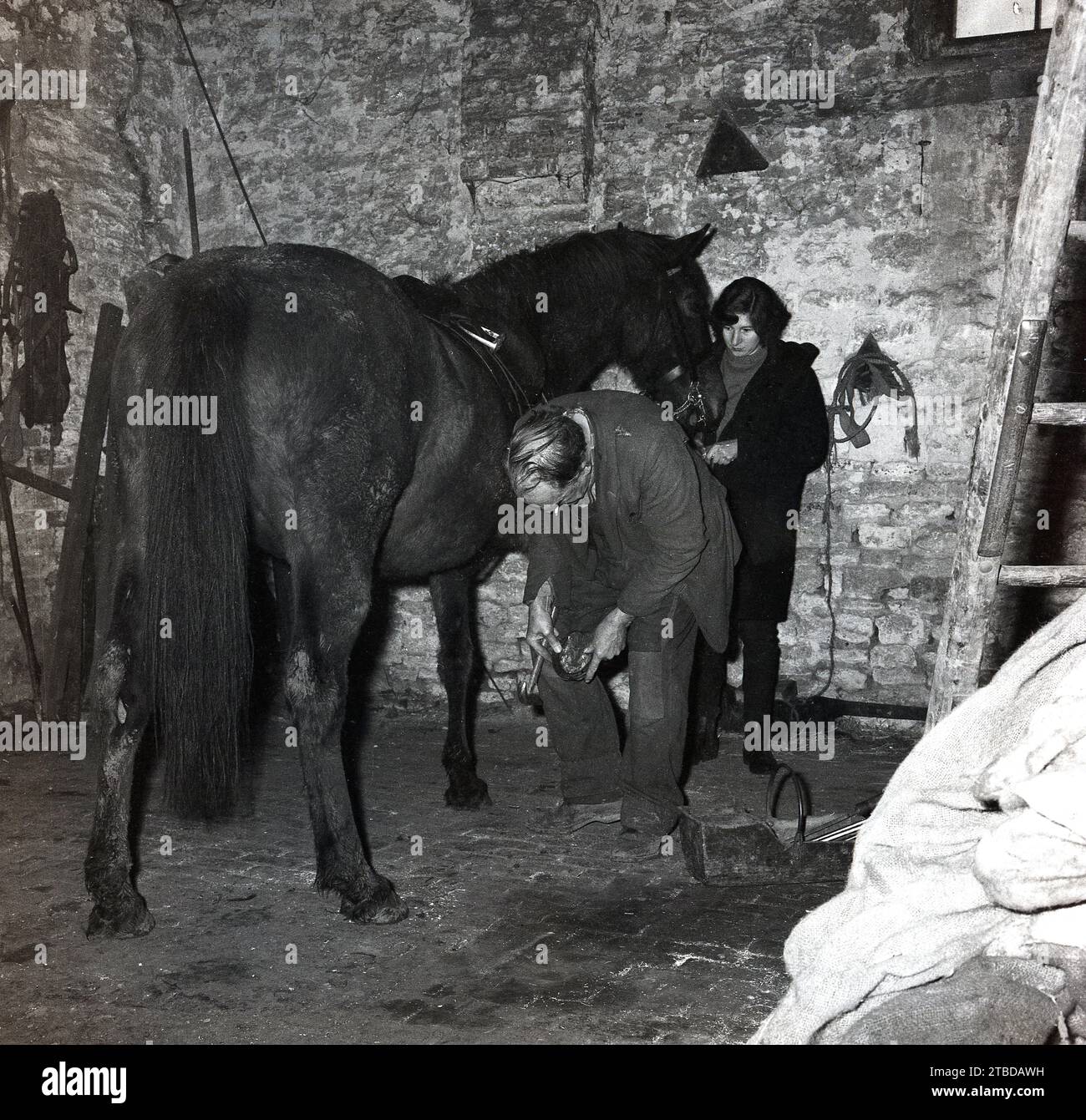 Années 1970, historique, à l'intérieur d'une grange en pierre, un maréchal ferrant un cheval, avec une fille stable tenant la tête du cheval, Angleterre, Royaume-Uni. Banque D'Images