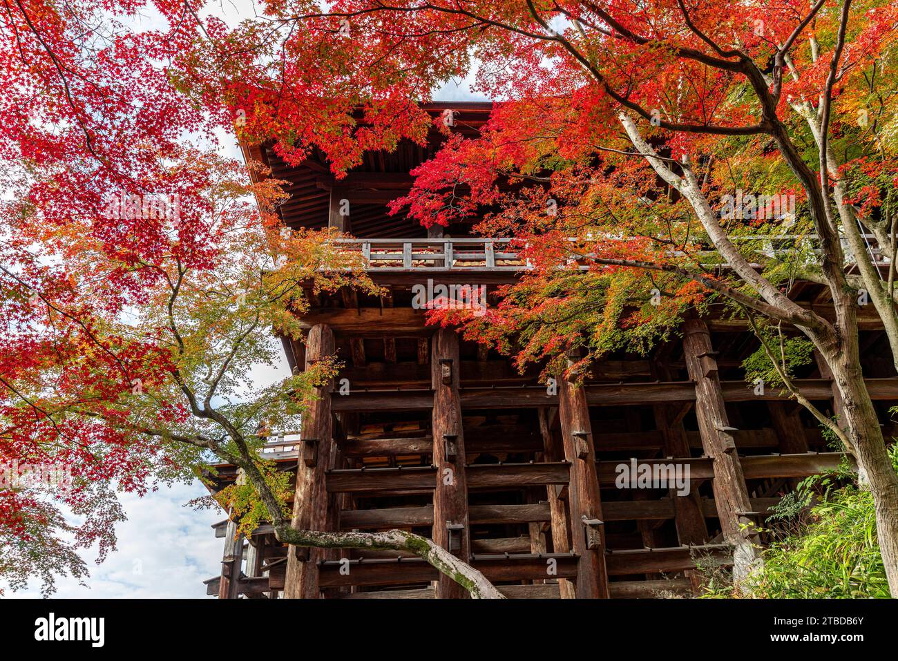 cadre en bois du temple kiyomizudera et érables rouges Banque D'Images