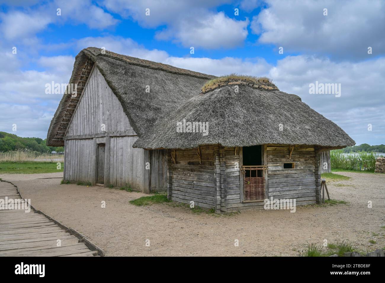 Maison historique en chaume, village, Viking Museum Haithabu, Schleswig, Schleswig-Holstein, Allemagne Banque D'Images