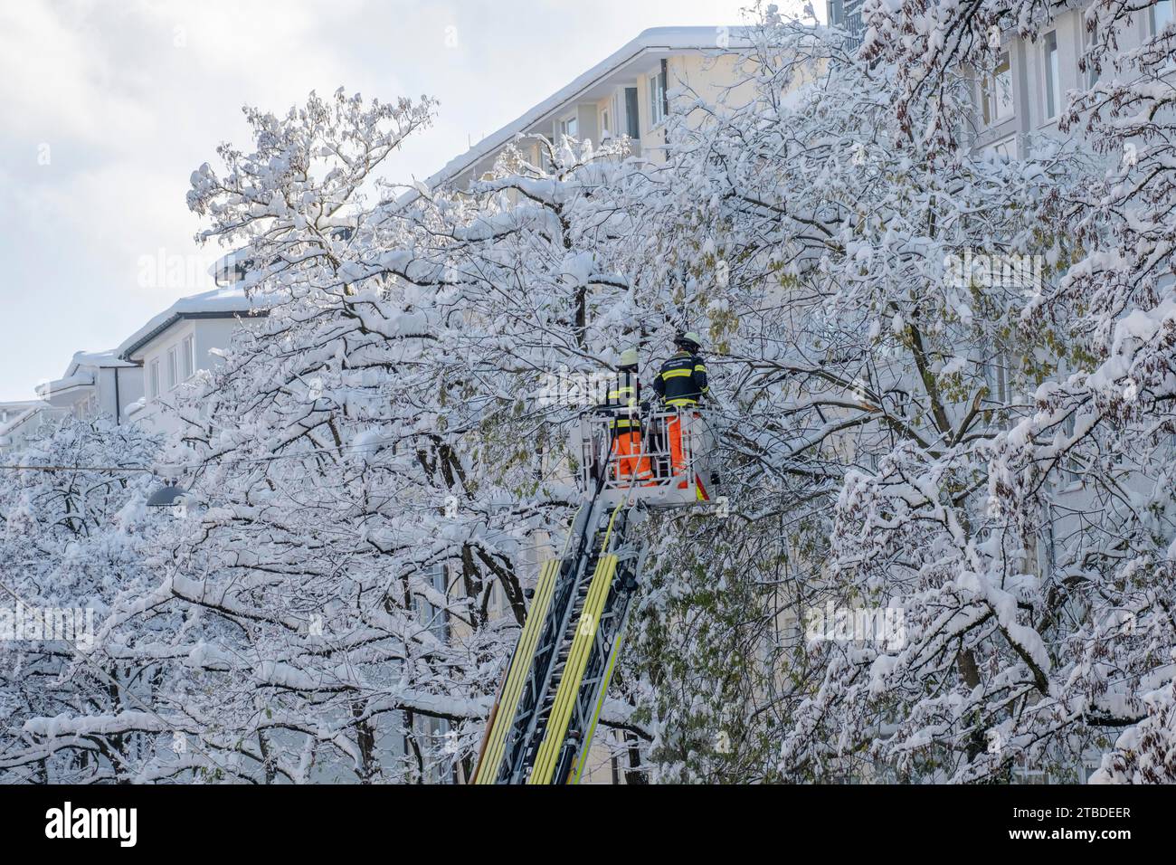 Opération des pompiers en hiver, danger dû à la charge de neige sur les arbres, Munich Banque D'Images