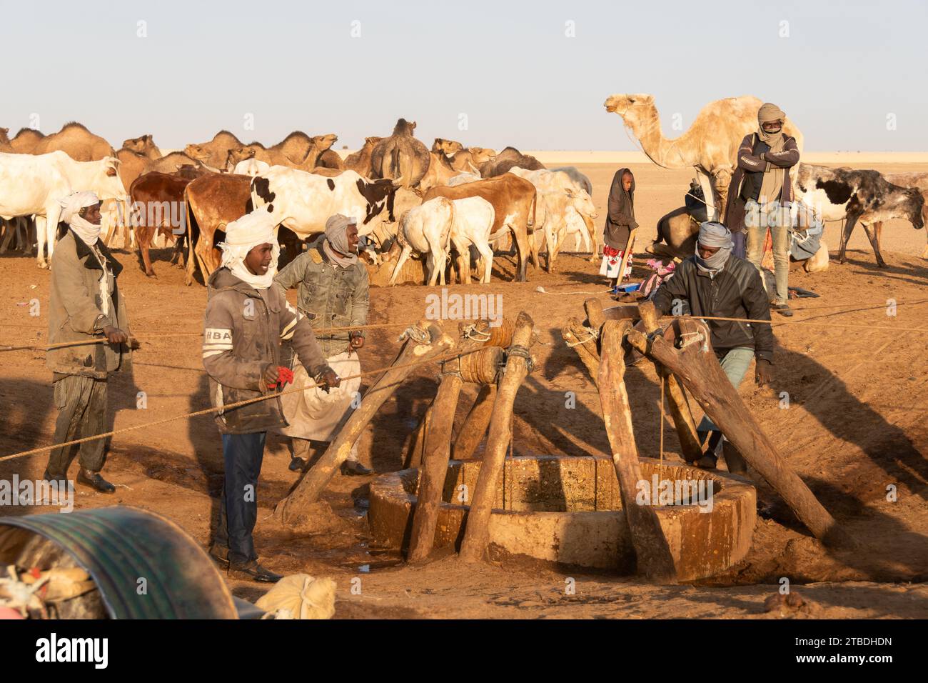 La vie autour d'un puits désertique au tchad Banque D'Images