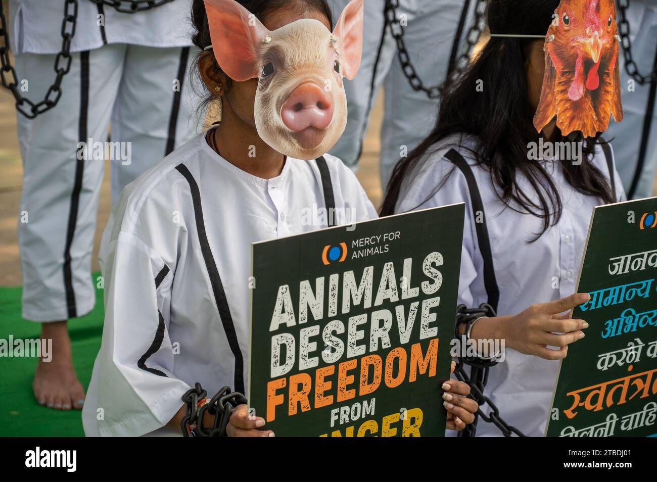 New Delhi, Inde. 6 décembre 2023. Un bénévole de Mercy for Animals (organisation à but non lucratif), vêtu comme un prisonnier de menottes et de menottes, vêtu d'un masque de cochon tient une pancarte avec un message convaincant : « tous les animaux méritent d'être libres » lors de la manifestation à Jantar Mantar. La Journée des droits des animaux, une occasion importante dédiée à la sensibilisation sur le traitement éthique des animaux, sert de plate-forme pour ces défenseurs d'exprimer leurs préoccupations et de faire pression pour un changement positif dans le traitement des animaux. Crédit : ZUMA Press, Inc./Alamy Live News Banque D'Images