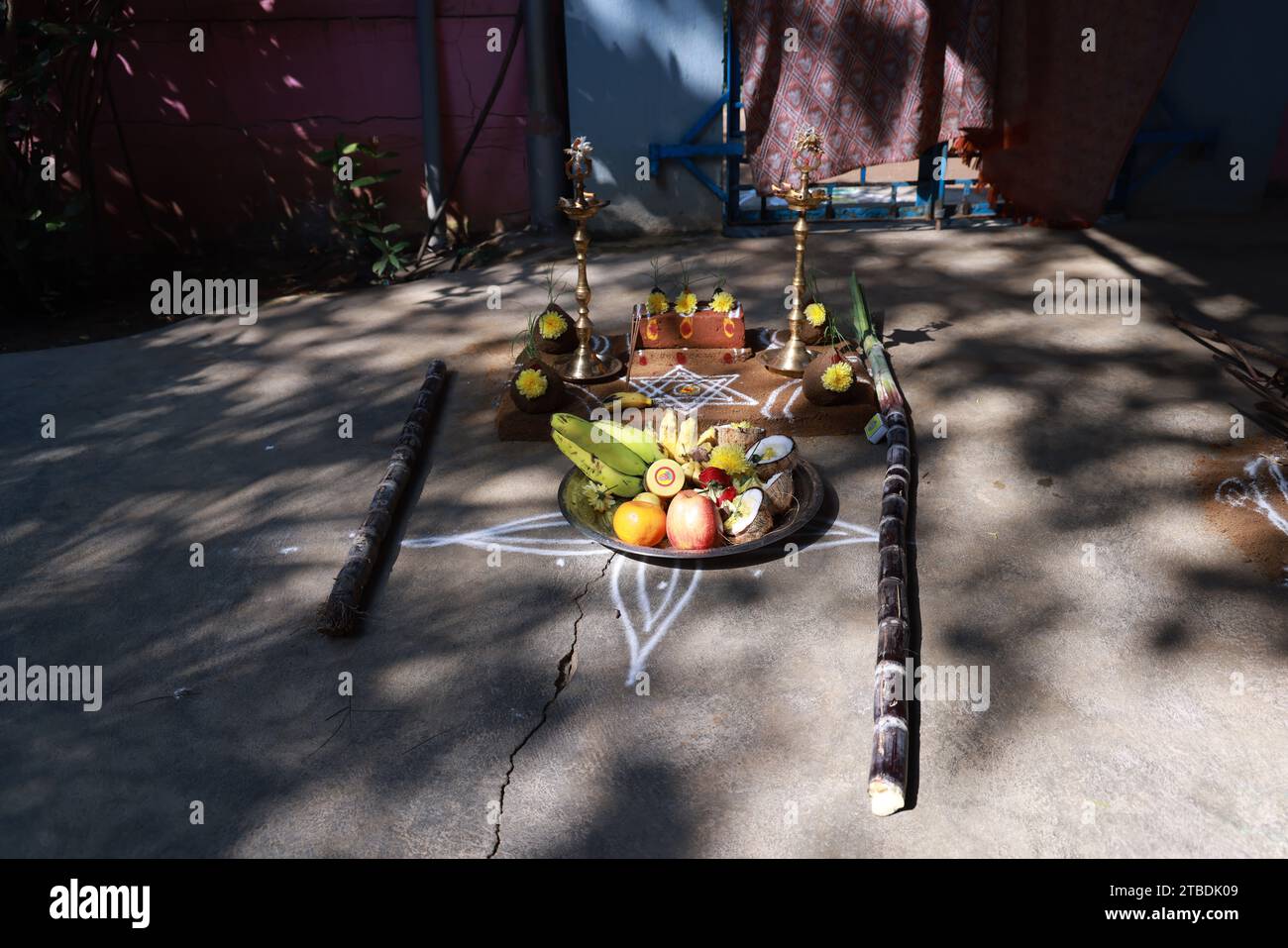 Fête traditionnelle thaïlandaise de Pongal au dieu du soleil avec sakkara ou pongal doux, pot, lampe, poêle à bois et canne à sucre Banque D'Images