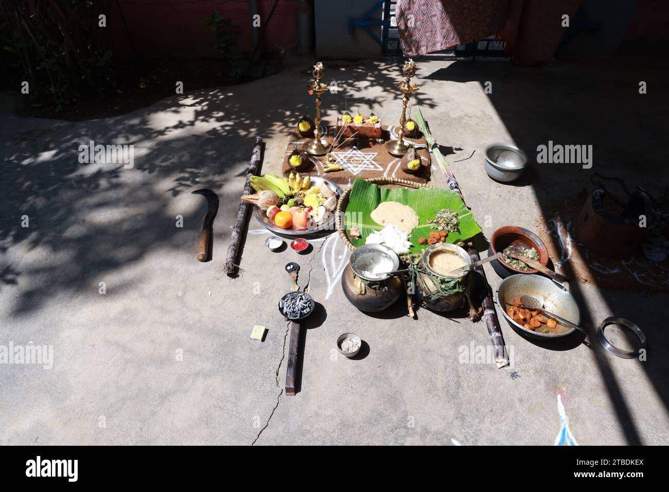 Fête traditionnelle thaïlandaise de Pongal au dieu du soleil avec sakkara ou pongal doux, pot, lampe, poêle à bois et canne à sucre Banque D'Images