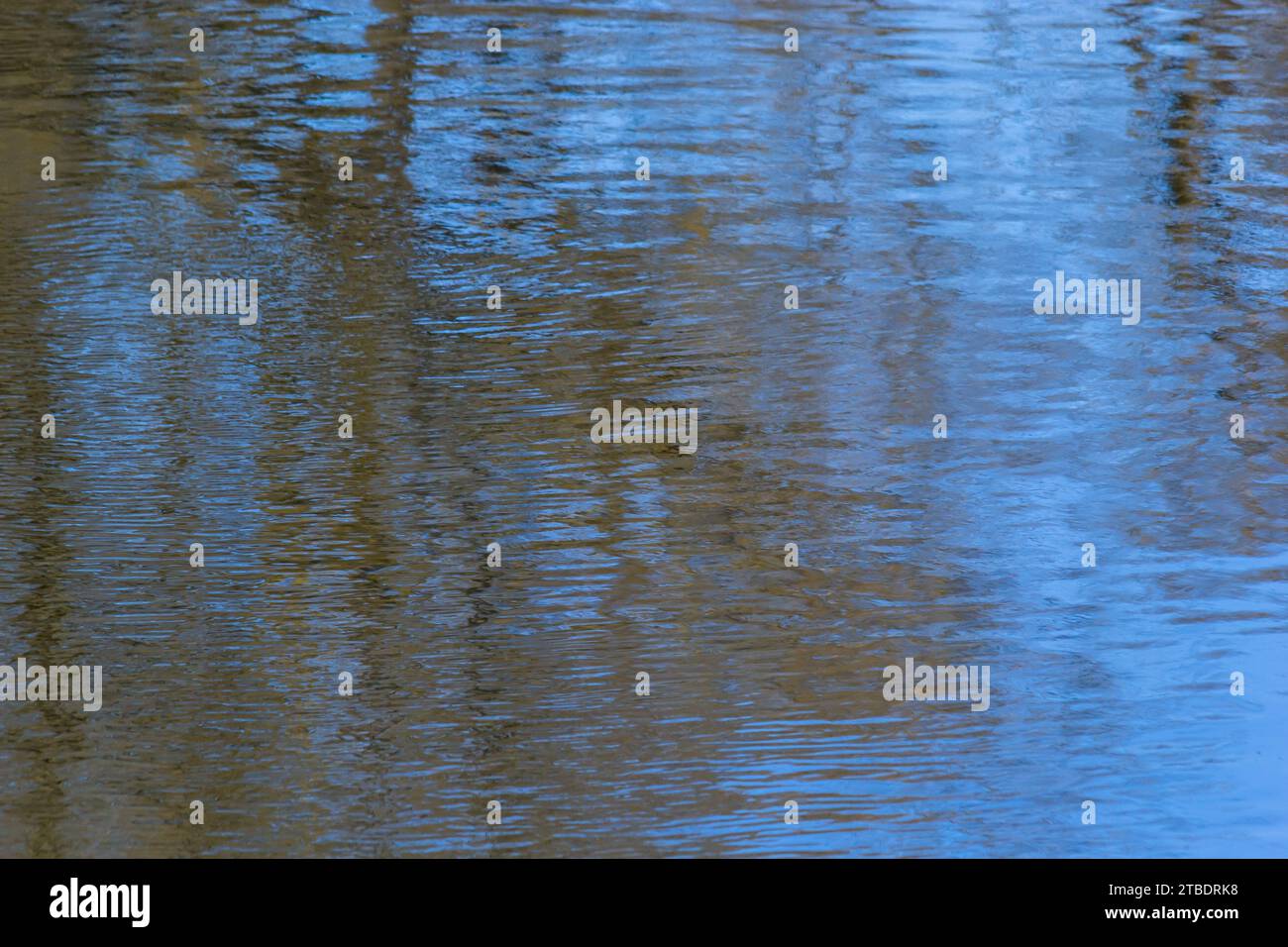 réflexion sur l'eau dans le parc. Banque D'Images