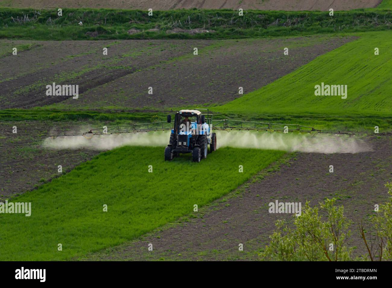 Vue aérienne du tracteur pulvérisant des pesticides dans des champs verts. Banque D'Images
