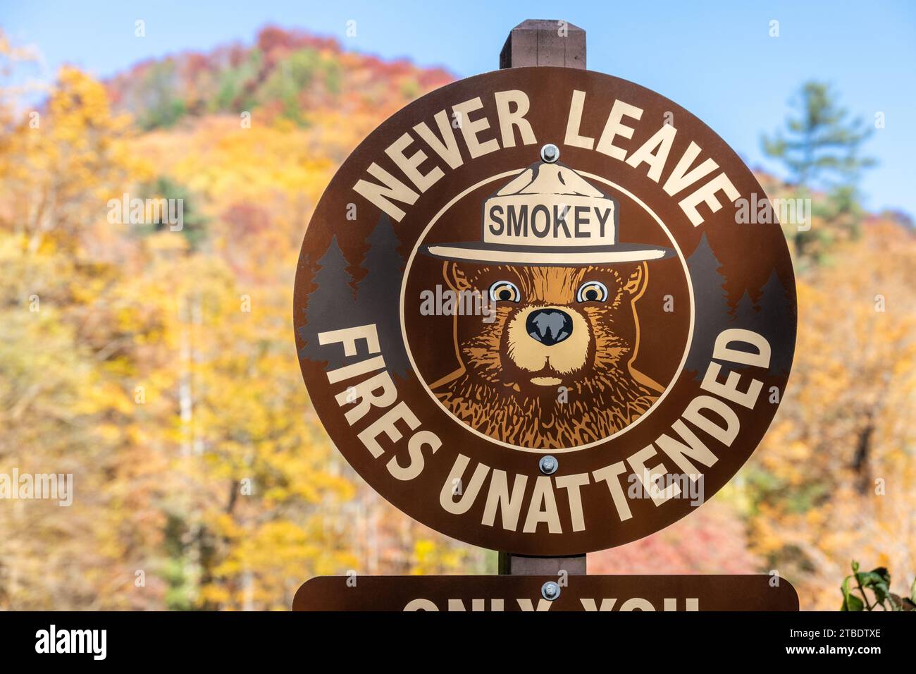 Smokey le panneau de sécurité incendie Bear à Anna Ruby Falls à Helen, Géorgie. (ÉTATS-UNIS) Banque D'Images