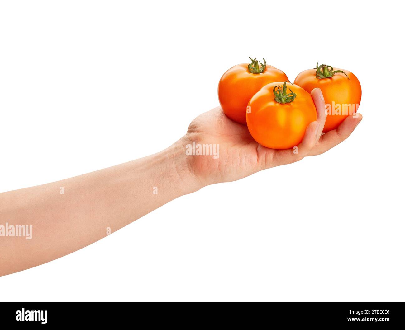 tomate orange dans le chemin de la main isolée sur blanc Banque D'Images