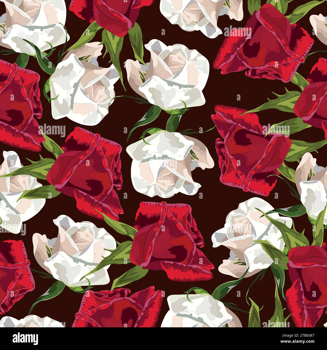 Motif sans couture avec des bourgeons de roses blanches et rouges sur un fond sombre Illustration de Vecteur