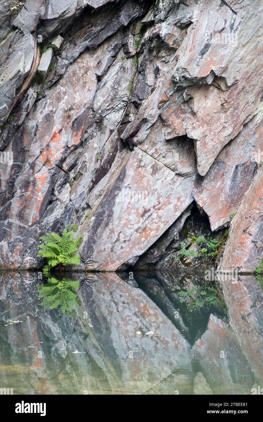 Roche abstraite et reflets dans la grotte de Rydal, quartier des lacs Banque D'Images