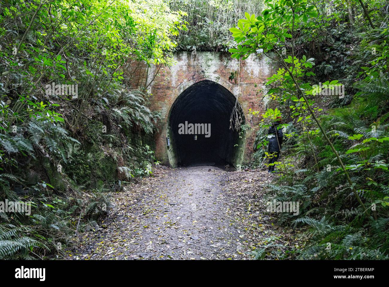 Road trip autour de l'île du Sud de la Nouvelle-Zélande. Photographié au southland Railway tunnel. Faites une courte promenade pittoresque à travers la réserve historique Banque D'Images