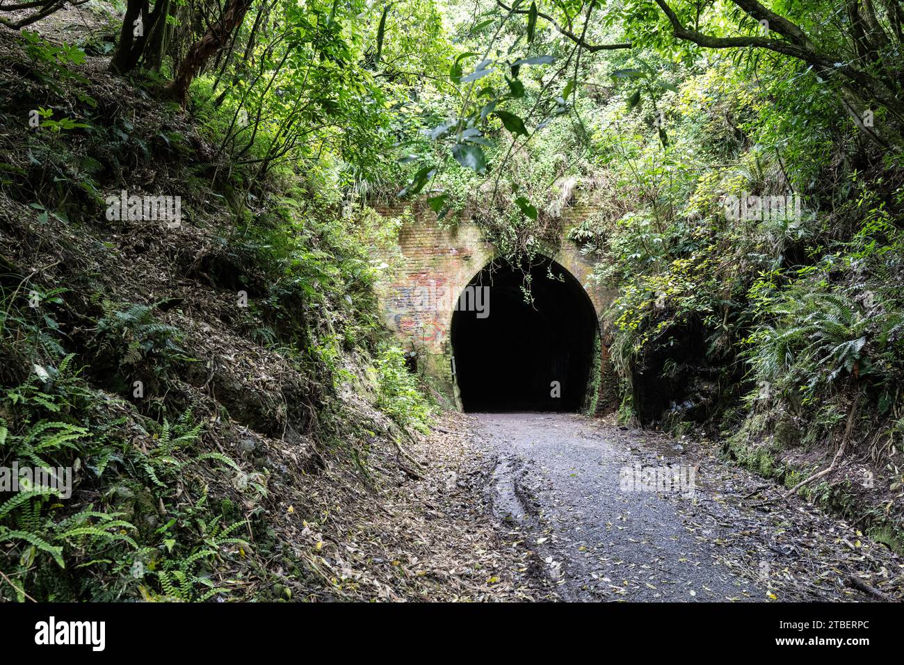 Road trip autour de l'île du Sud de la Nouvelle-Zélande. Photographié au southland Railway tunnel. Faites une courte promenade pittoresque à travers la réserve historique Banque D'Images