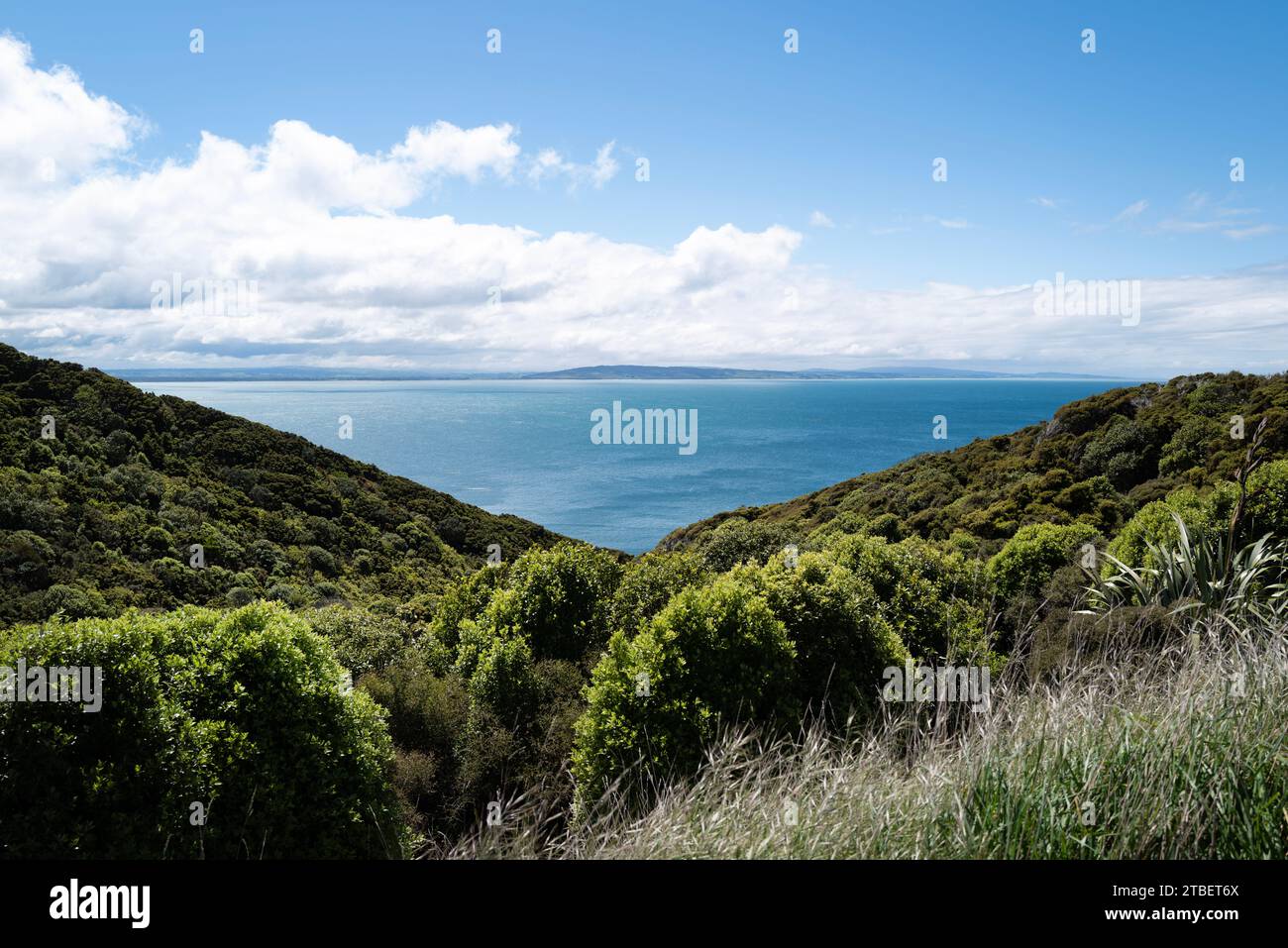 Road trip autour de l'île du Sud de la Nouvelle-Zélande. Le promontoire de Nugget point. Nugget point est une plate-forme panoramique emblématique sur la côte des Catlins avec Banque D'Images