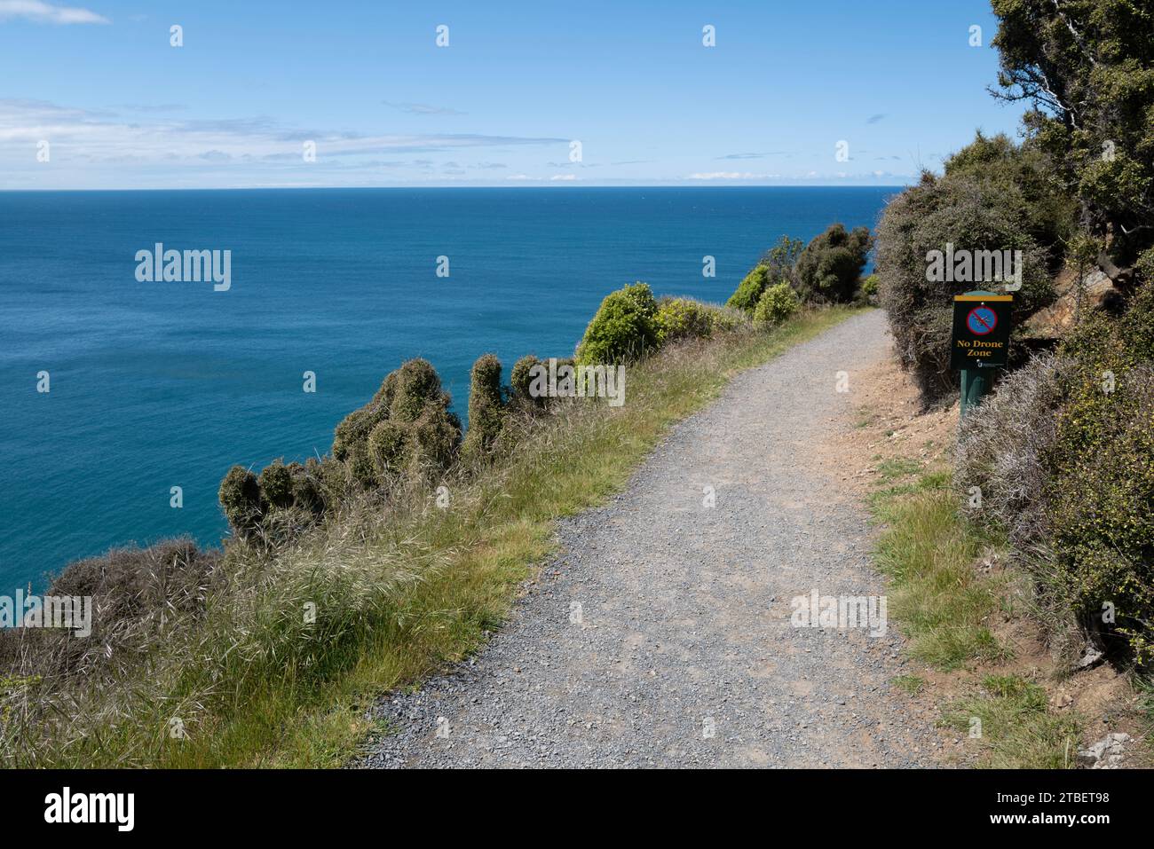 Road trip autour de l'île du Sud de la Nouvelle-Zélande. Le promontoire de Nugget point. Nugget point est une plate-forme panoramique emblématique sur la côte des Catlins avec Banque D'Images