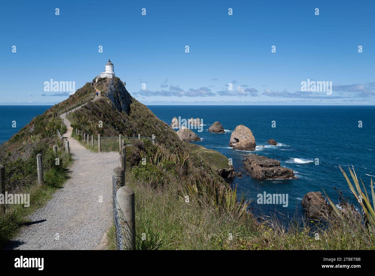 Road trip autour de l'île du Sud de la Nouvelle-Zélande. Le promontoire de Nugget point. Nugget point est une plate-forme panoramique emblématique sur la côte des Catlins avec Banque D'Images