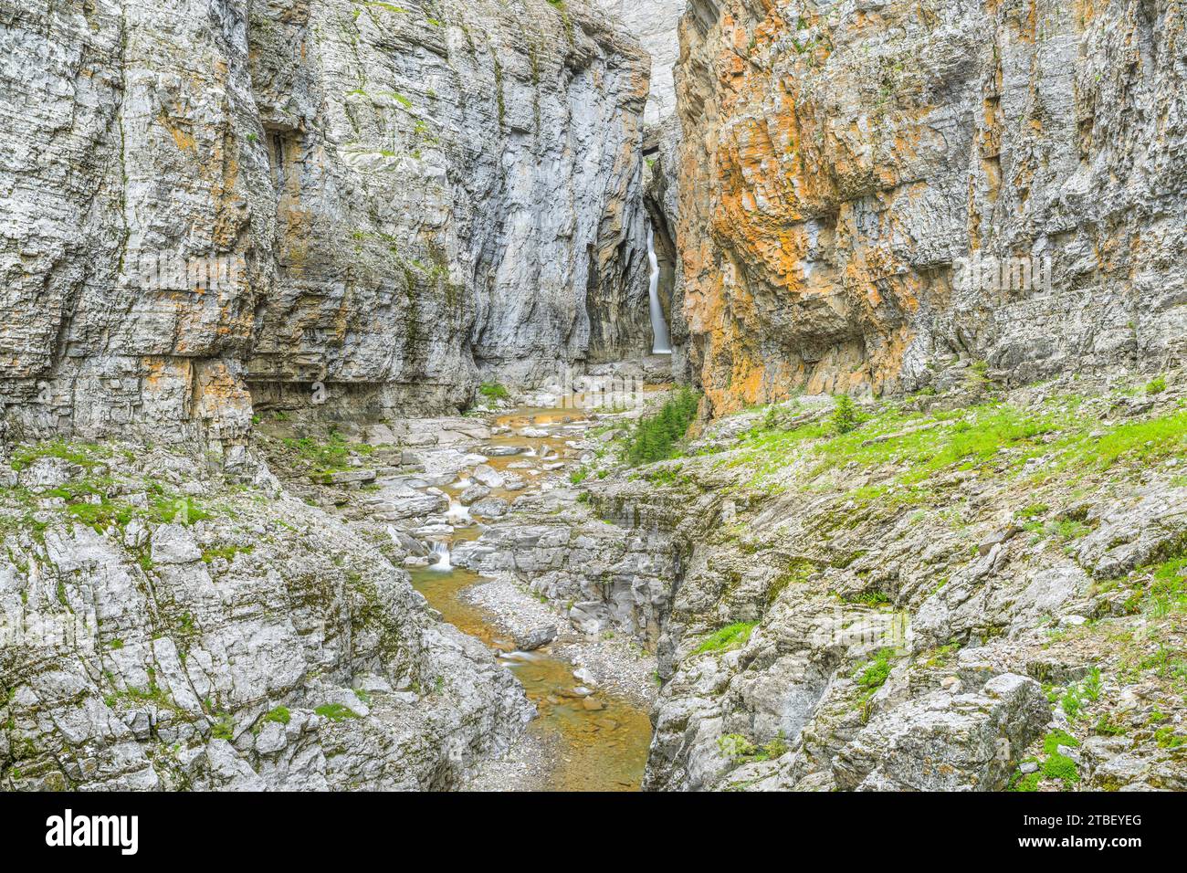 Muddy Creek Canyon et tombe le long de la rocky mountain/près de bynum, Montana Banque D'Images