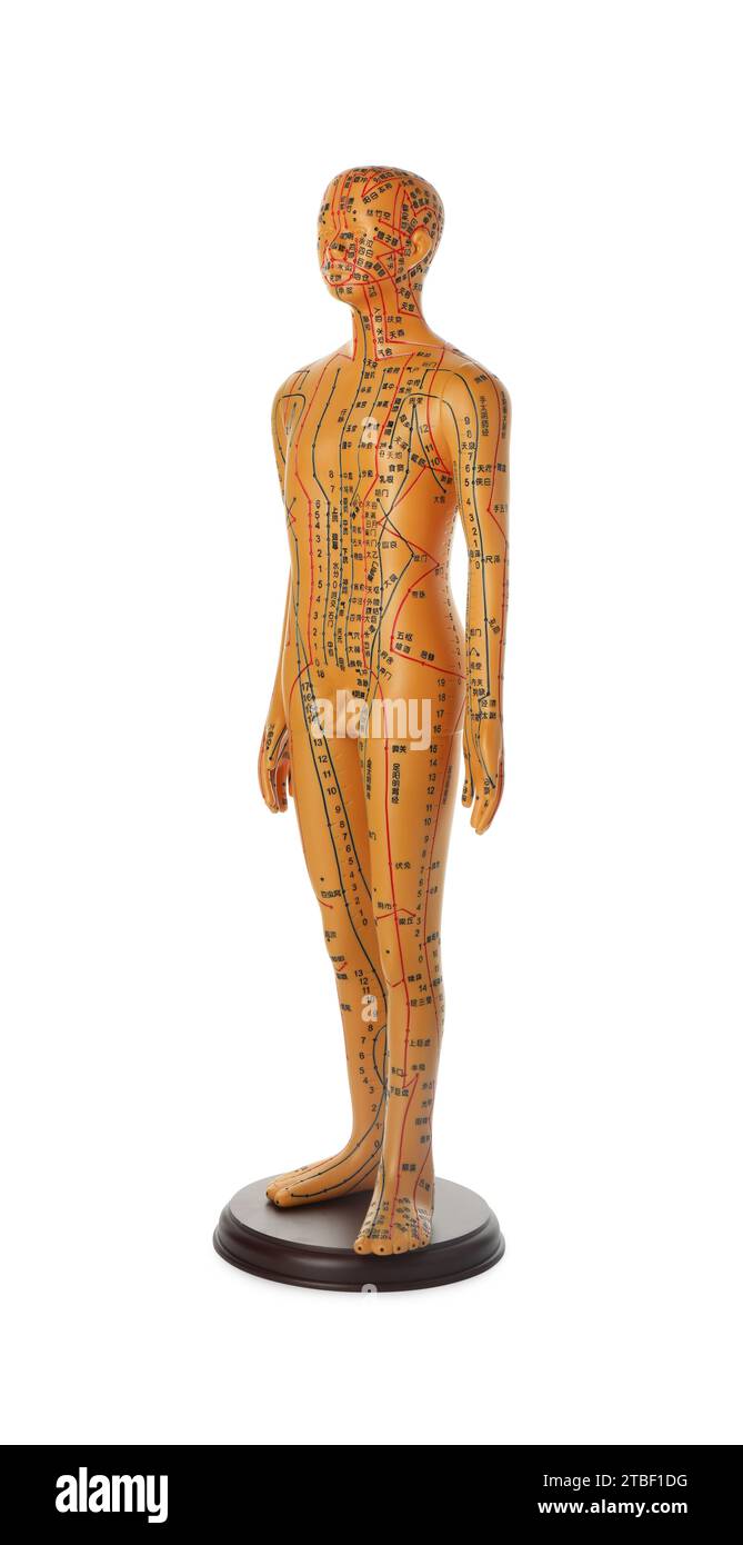 Modèle d'acupuncture. Mannequin homme avec des points et des lignes isolé sur blanc Banque D'Images