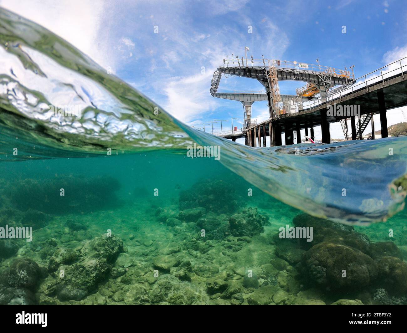 Plongée avec tuba sur la jetée de Flying Fish Cove, île Christmas, Australie Banque D'Images