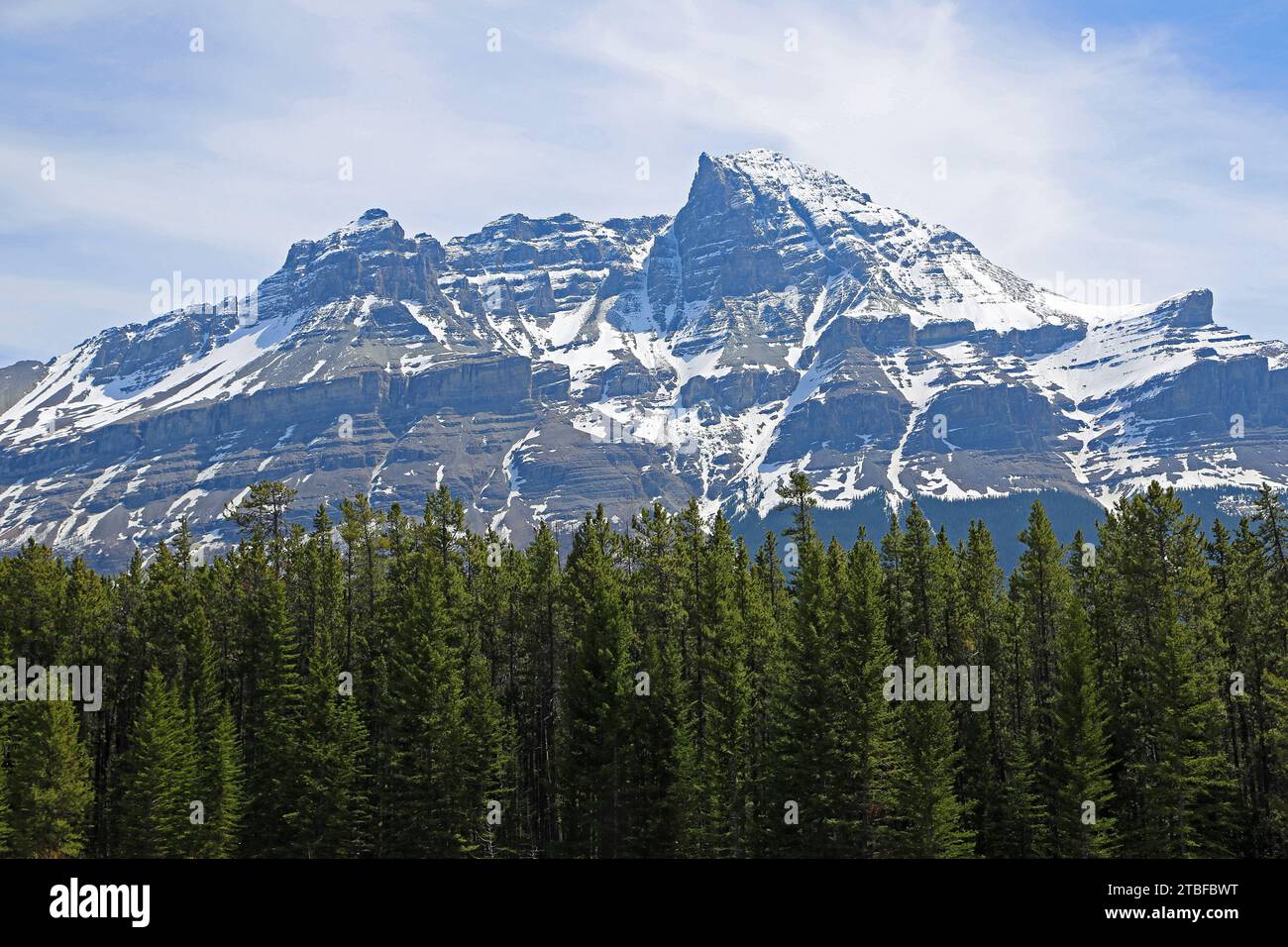 Mont Murchison et forêt verte, Canada Banque D'Images