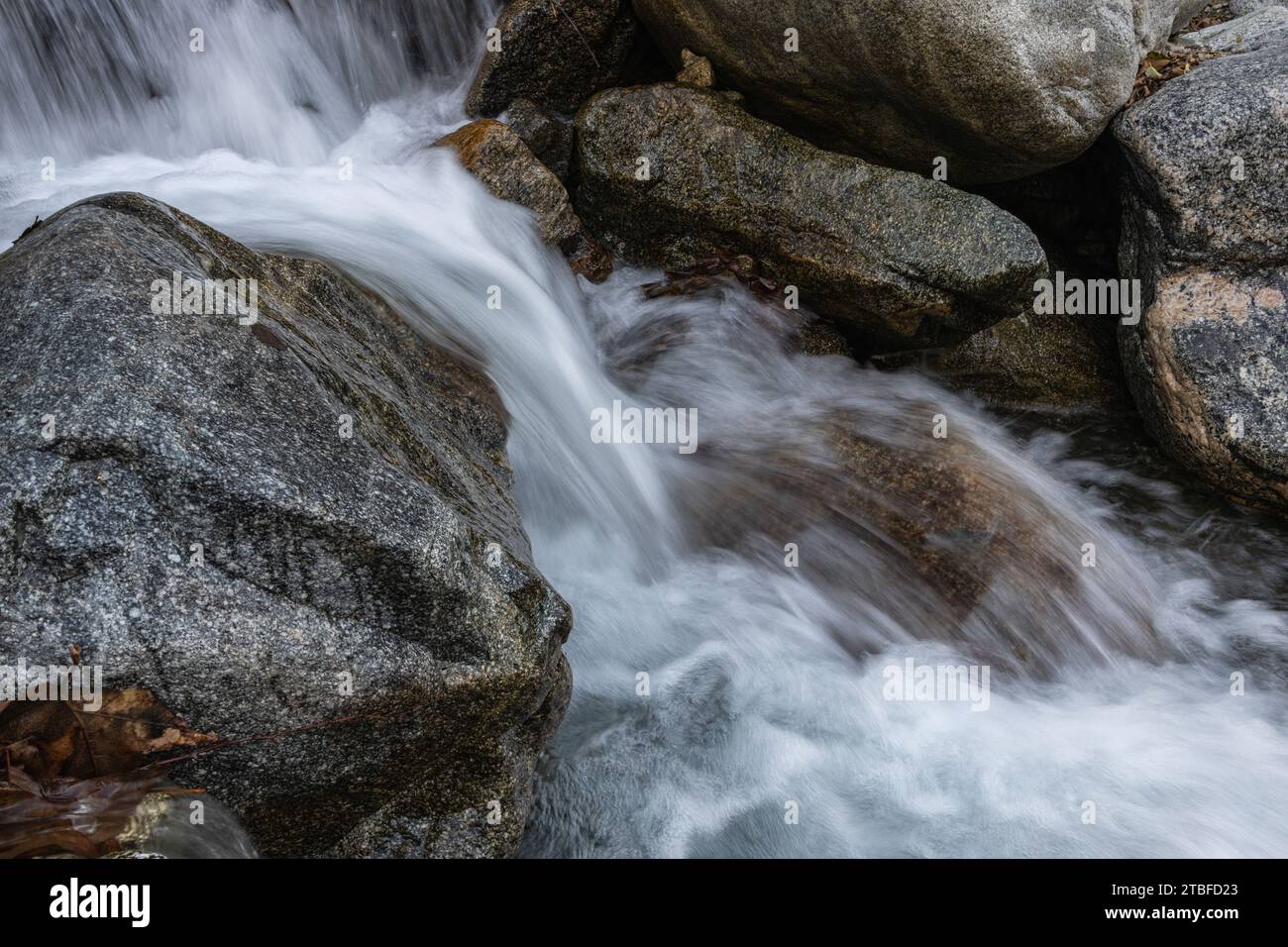 Eau de précipitation dans le ruisseau de montagne Banque D'Images