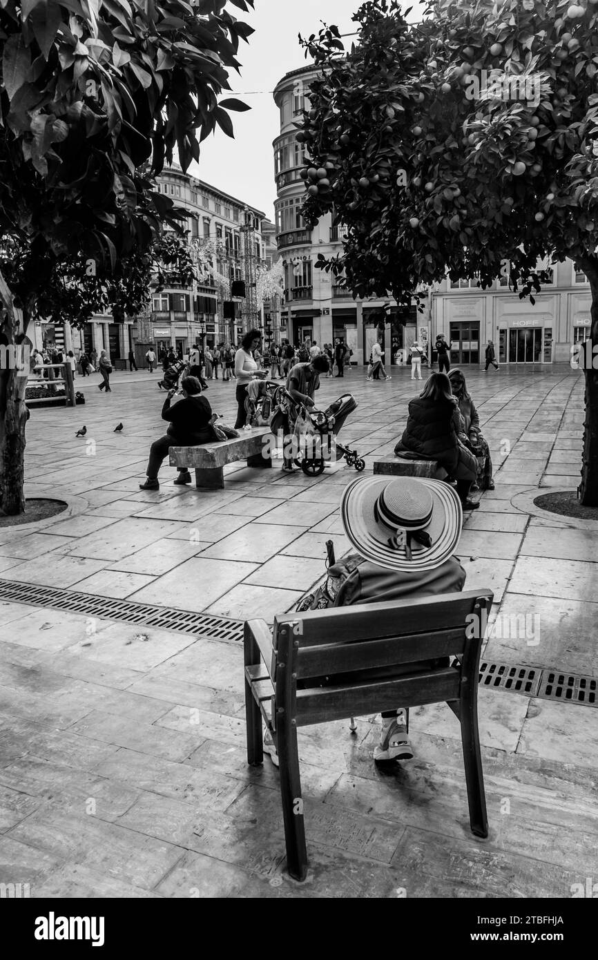 Espagne les rues de Malaga à Noël Banque D'Images