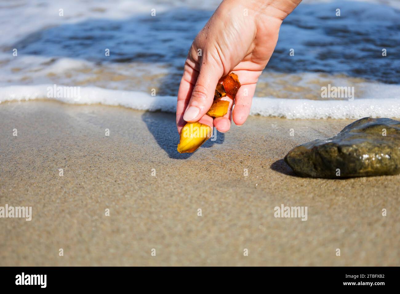 Belles pièces d'ambre dans la main de la mer fond.Un morceau d'ambre ondulé brillant dans la paume de votre main.Le soleil Banque D'Images Belles pièces d'ambre dans la main de la mer fond.Un morceau d'ambre ondulé brillant dans la paume de votre main.Le soleil Banque D'Images