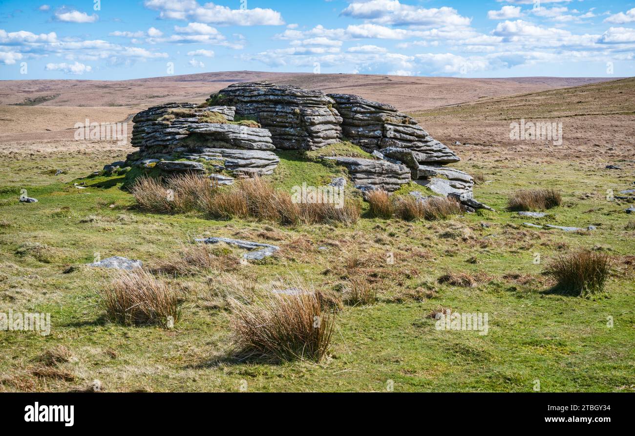 Un affleurement granitique avec des joints horizontaux prononcés, une valeur aberrante sur le côté de West Mill Tor, parc national de Dartmoor, Devon, Royaume-Uni. Banque D'Images