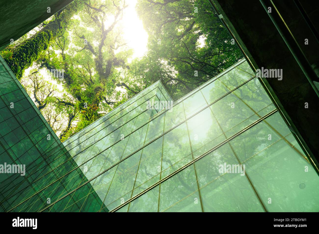 Bâtiment écologique dans la ville moderne.Bâtiment de bureau durable en verre avec arbre pour réduire la chaleur et le dioxyde de carbone.Bâtiment de bureau avec vert Banque D'Images