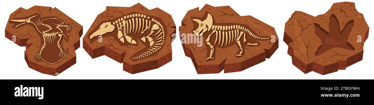 Fouilles au sol et en pierre de fossiles préhistoriques de dinosaures Illustration de Vecteur