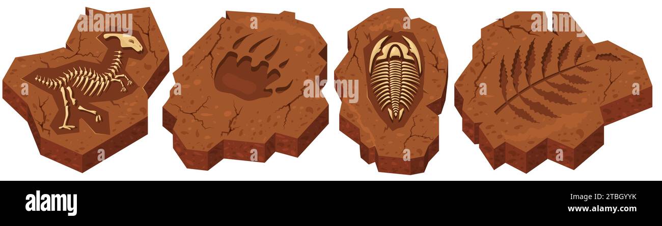 Squelette de dinosaure et d'insecte, patte de créature et ensemble de piste de plante Illustration de Vecteur