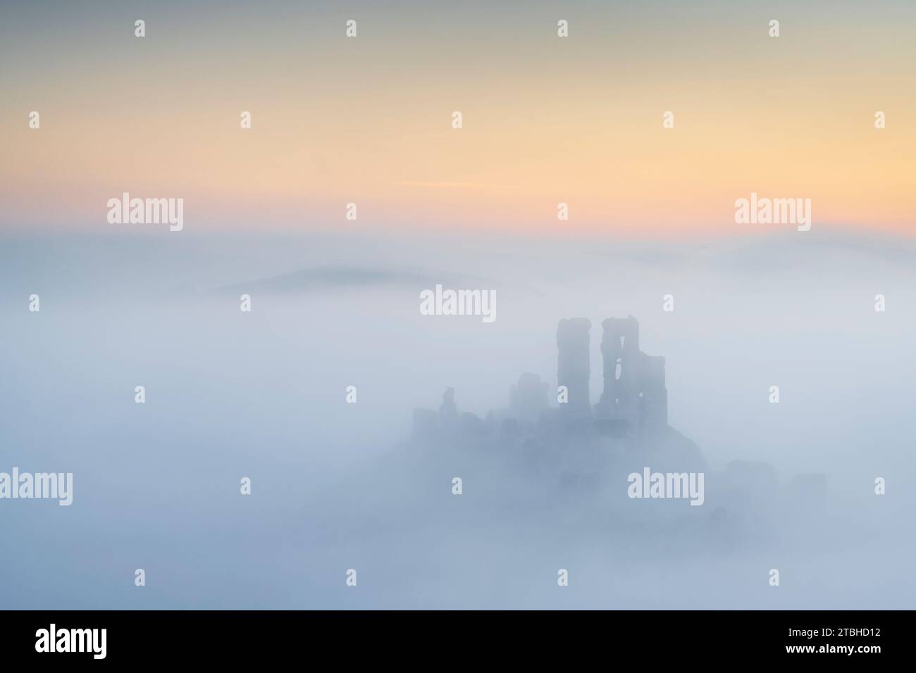Château de Corfe émergeant de la brume par un matin glacial d'hiver, Dorset, Angleterre. Hiver (février) 2023. Banque D'Images