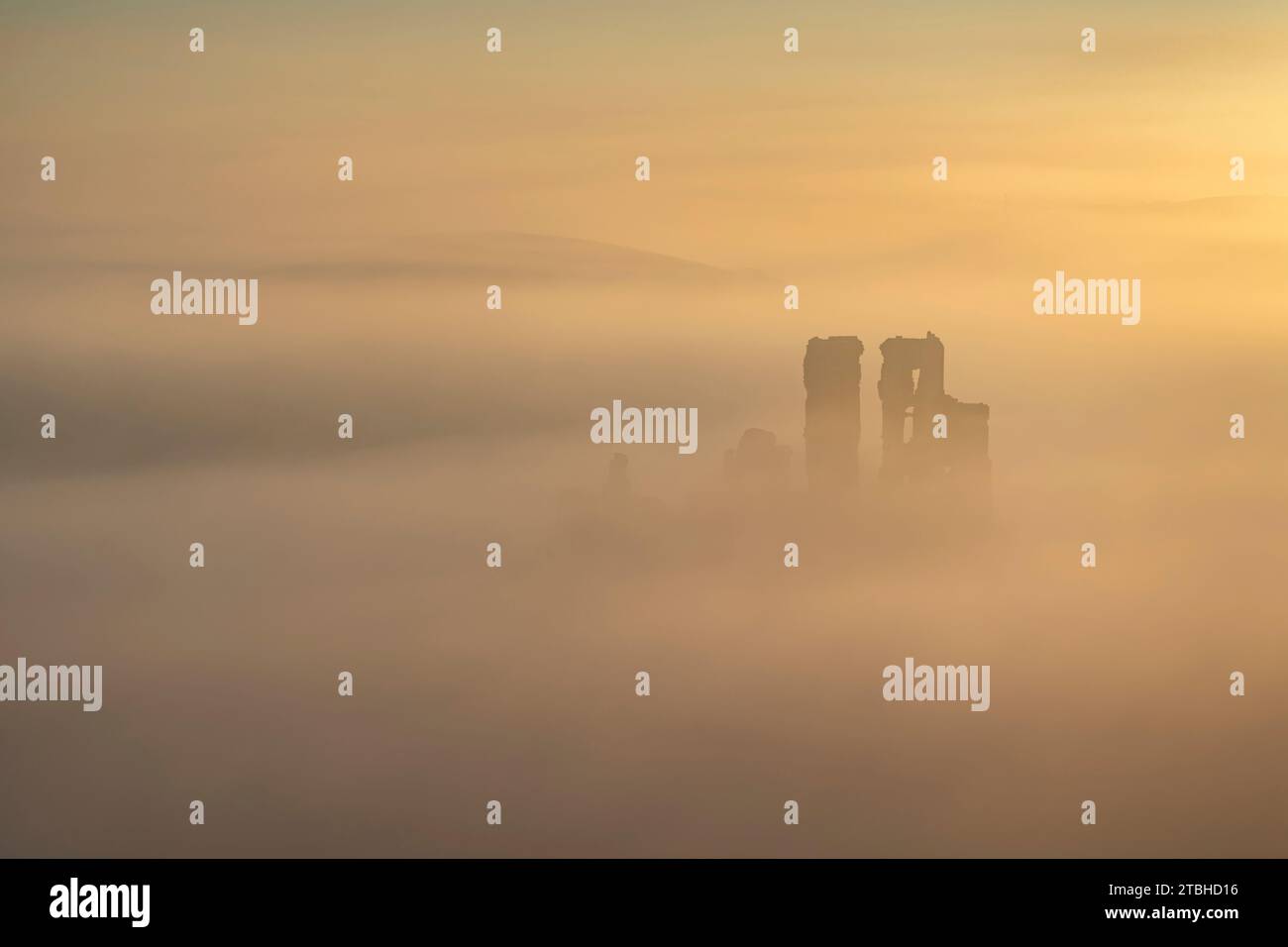 Château de Corfe émergeant de la brume par un matin glacial d'hiver, Dorset, Angleterre. Hiver (février) 2023. Banque D'Images