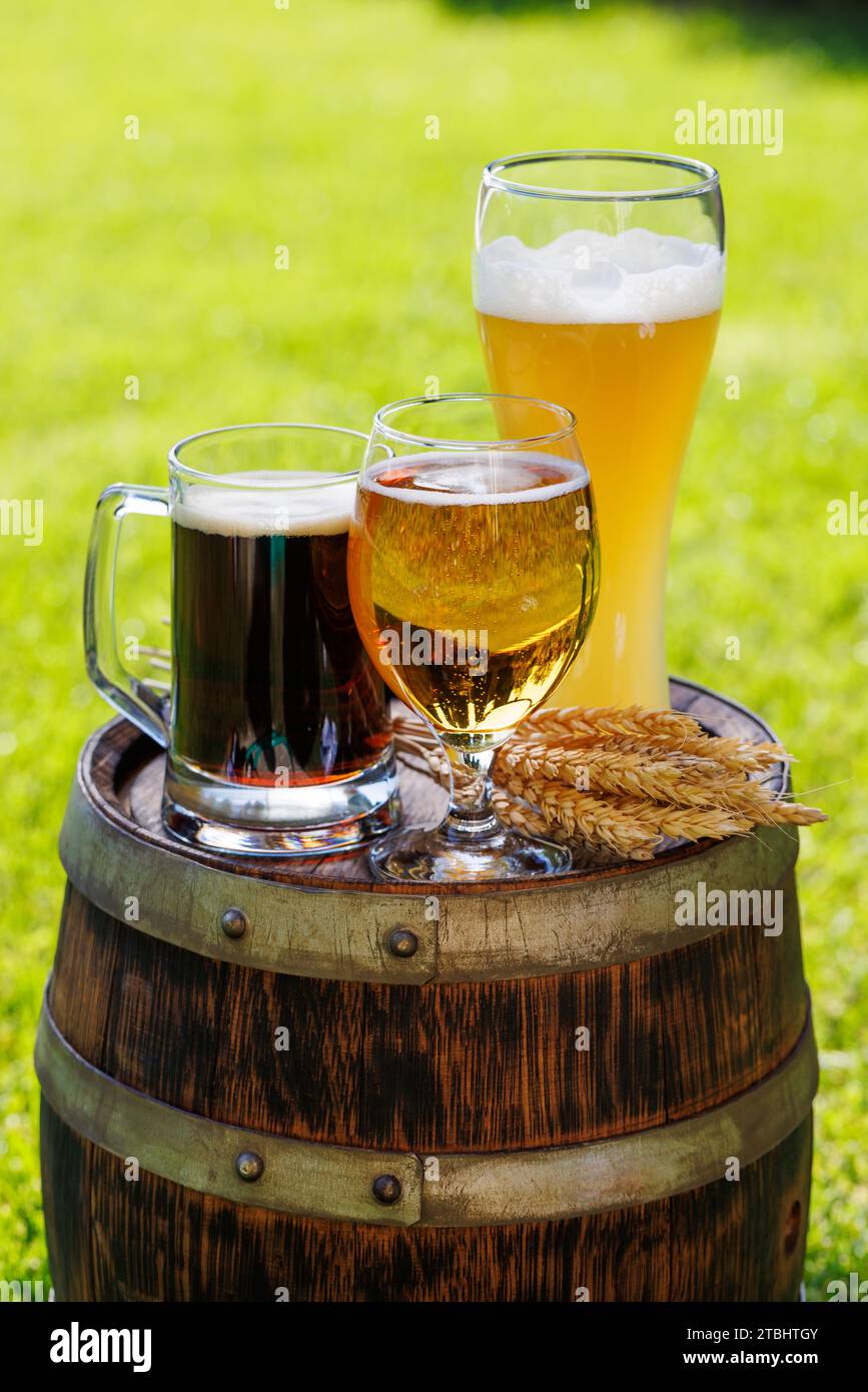 Variété de verres à bière sur tonneau en bois rustique. Ensoleillé en plein air avec espace de copie Banque D'Images
