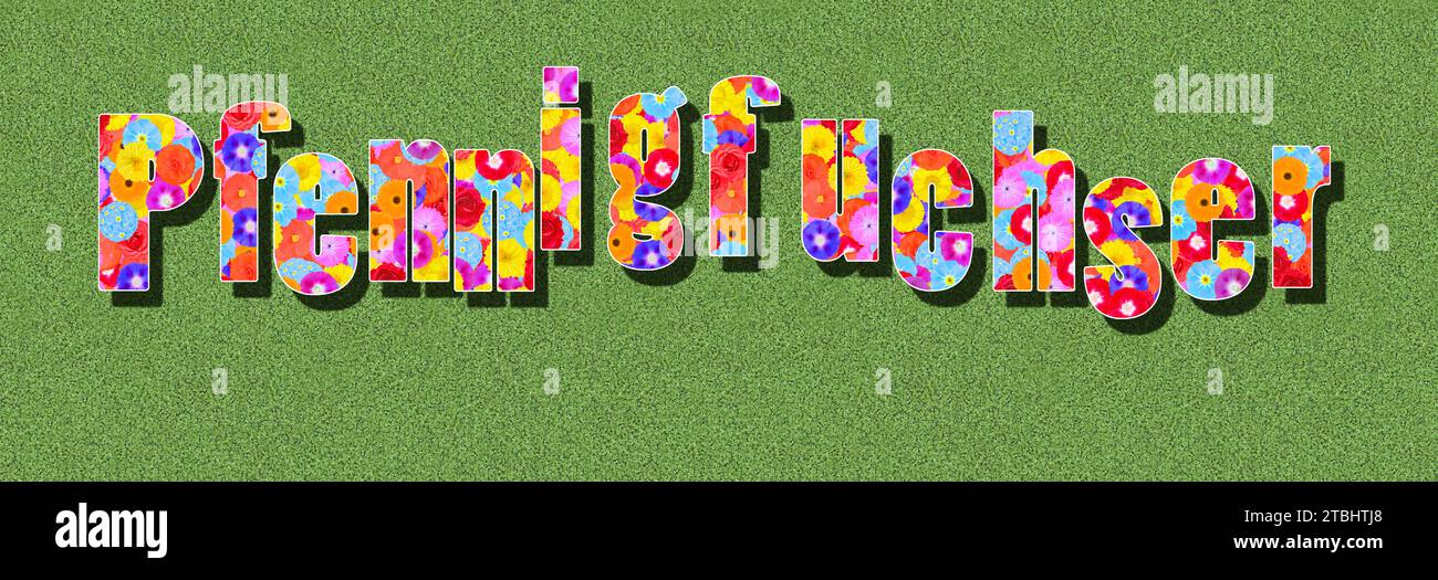 Mot allemand Pfennigfuchser, est une personne avare, texte écrit avec des fleurs colorées sur fond vert, conception graphique, illustration Banque D'Images