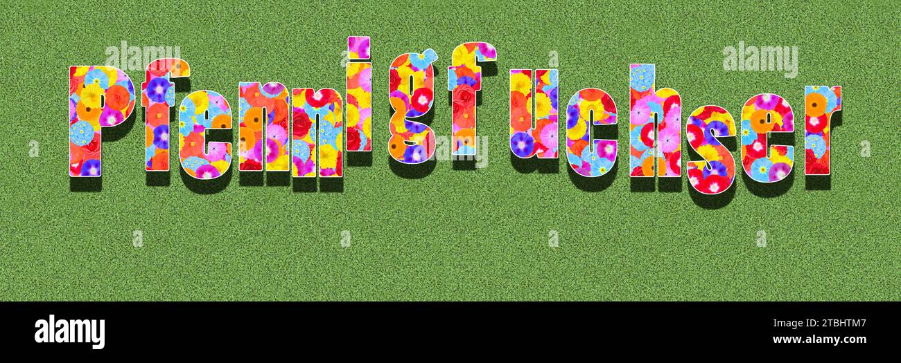 Le mot allemand Pfennigfuchser, est une pince à penny Banque D'Images