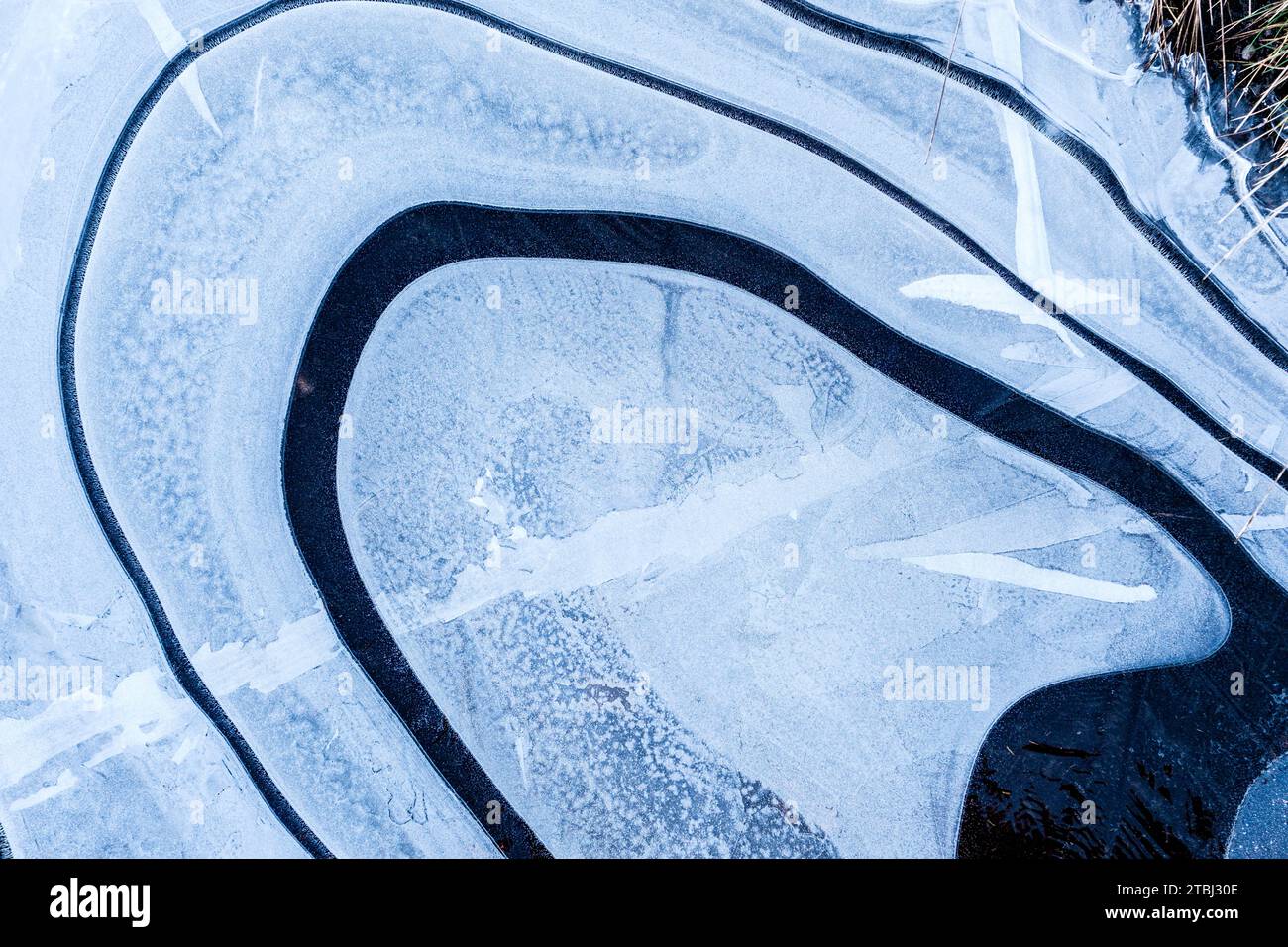 Flaques d'eau gelées lors d'une promenade matinale d'hiver Banque D'Images