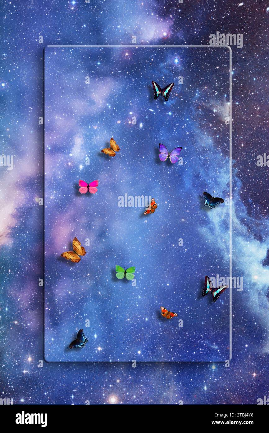 papillons colorés sur un fond d'espace avec des étoiles Banque D'Images