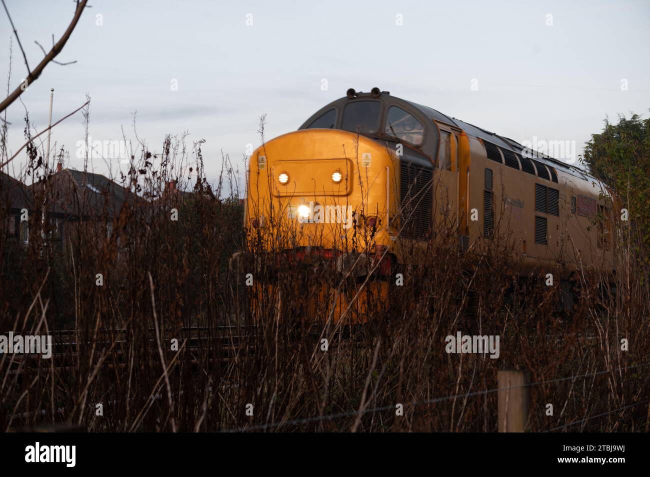 Locomotive diesel de classe 37 du réseau ferroviaire passant par la réserve naturelle Attenborough à Nottingham. Banque D'Images
