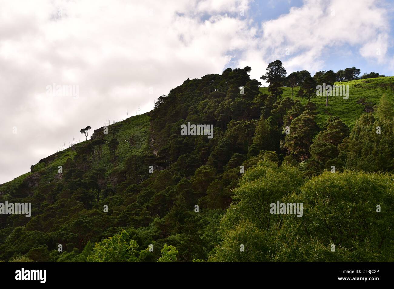 Parc national de Glendalough, Co. Wicklow Banque D'Images