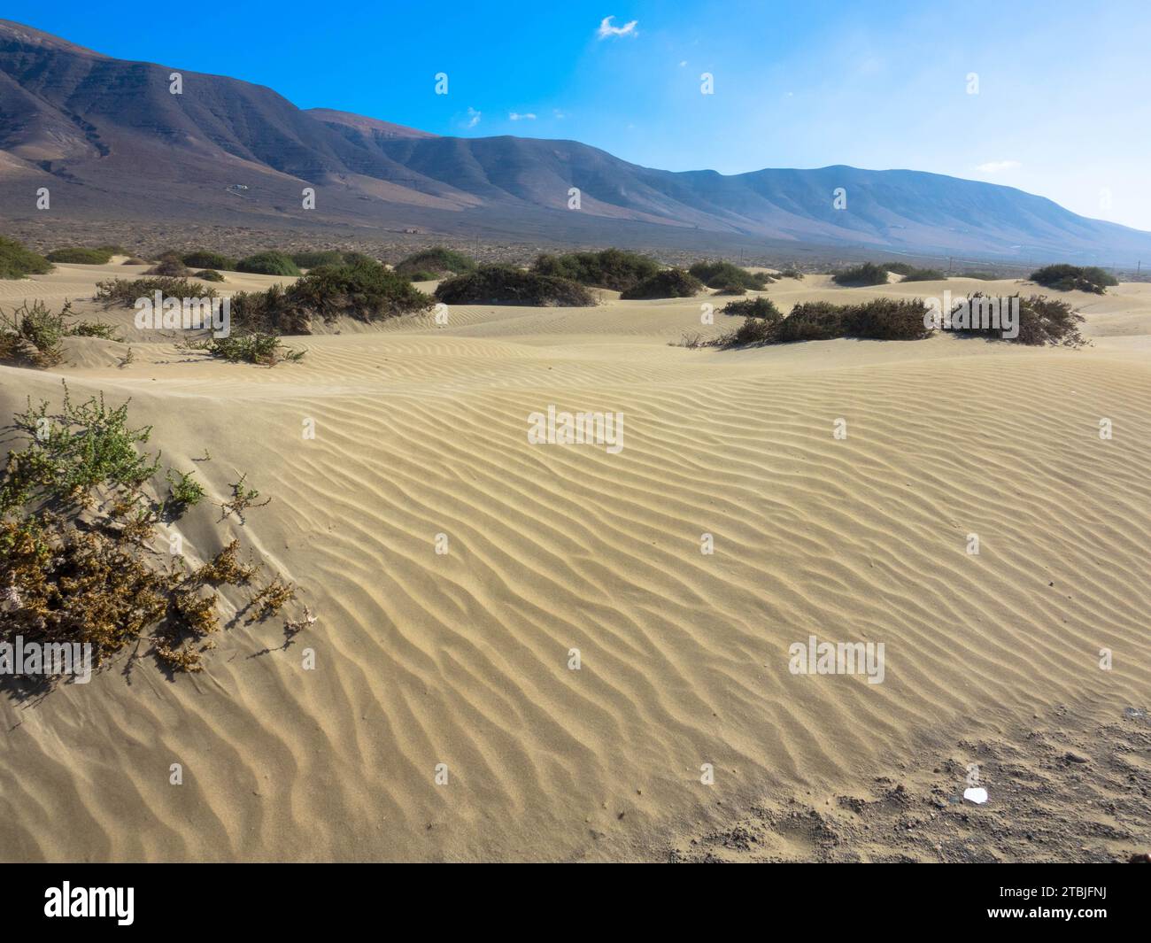 Vue panoramique sur la plage de Famara. En arrière-plan, les montagnes Risco de Famara. Îles Canaries, Espagne, Europe Banque D'Images