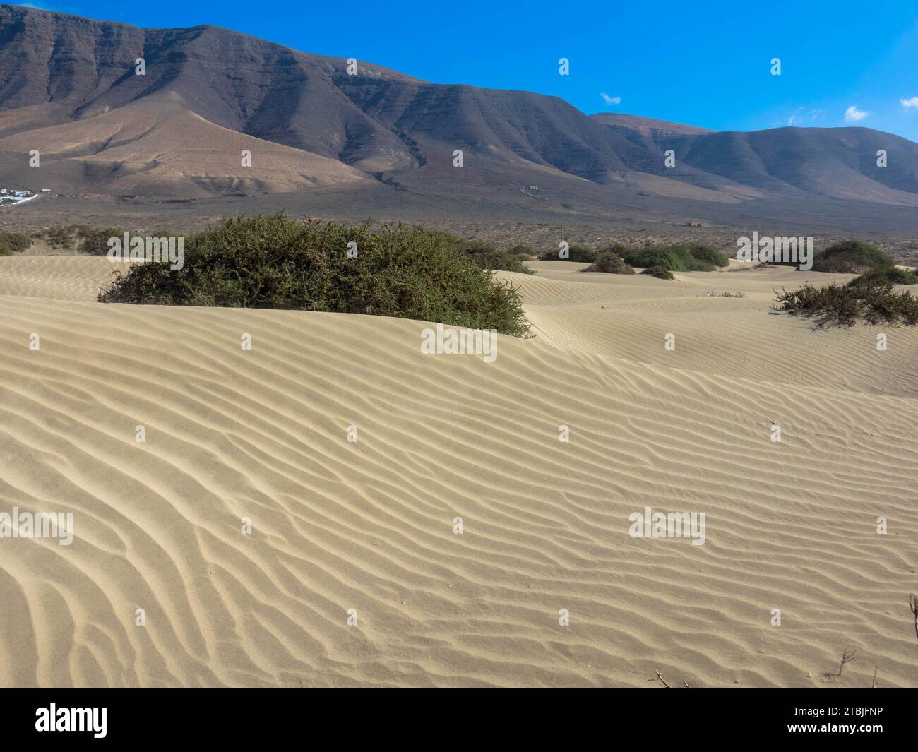 Vue panoramique sur la plage de Famara. En arrière-plan, les montagnes Risco de Famara. Îles Canaries, Espagne, Europe Banque D'Images