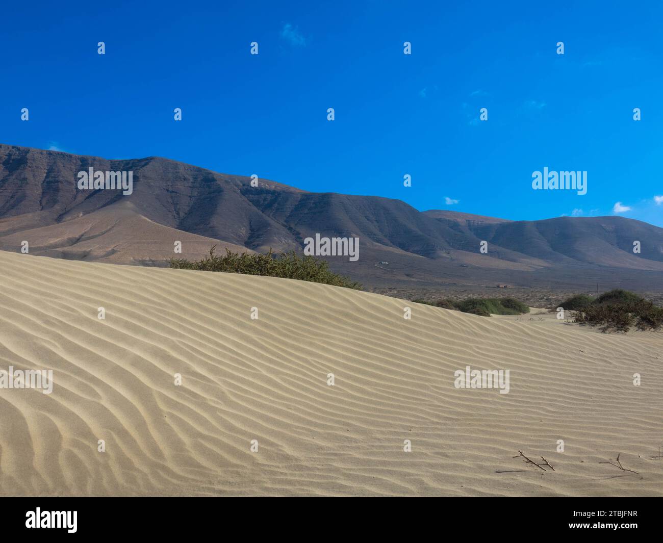 Vue panoramique sur la plage de Famara. En arrière-plan, les montagnes Risco de Famara. Îles Canaries, Espagne, Europe Banque D'Images