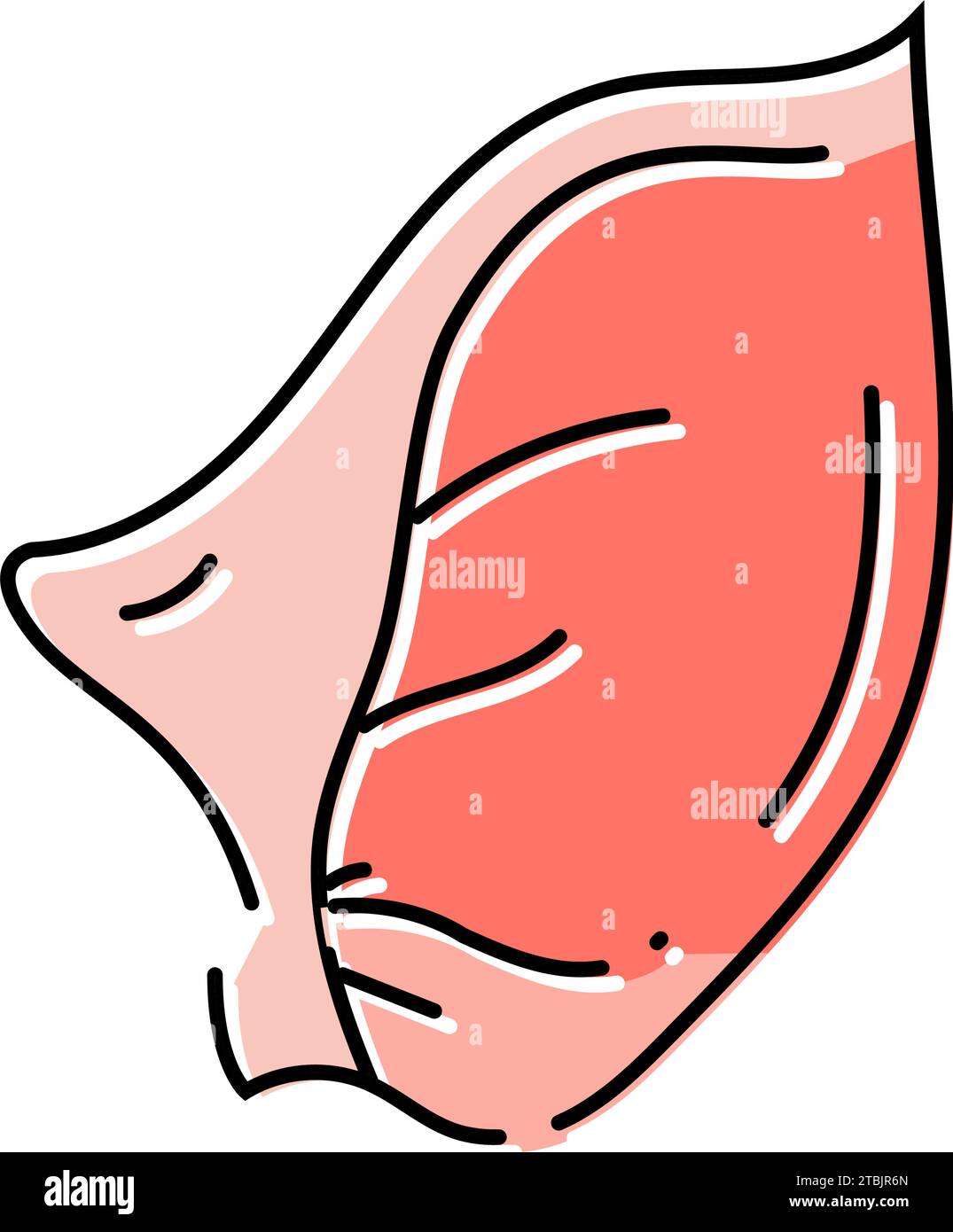 illustration vectorielle d'icône de couleur d'animal de cochon d'oreille Illustration de Vecteur