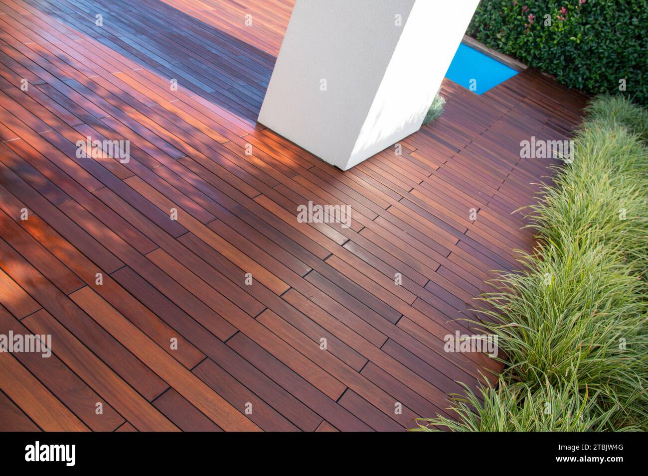 Terrasse en bois franc avec colonne carrée en béton, clôture à feuilles persistantes et piscine, terrasse en bois exotique idée Banque D'Images